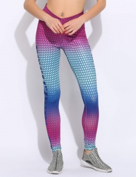 Women Sports Yoga Running Fitness Leggings Pants Athletic Clothes, Multicolor 
Women Sports Yoga Running Fitness Leggings Pants Athletic Clothes, Multicolor