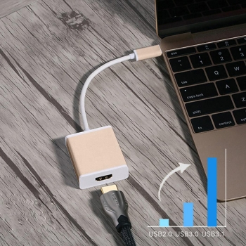 

Gold USB 3.1-C Multiport Adapter Data Cable, Multicolor