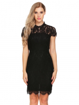 

Black Stand Collar Hollow Lace Pencil Dress, Multicolor