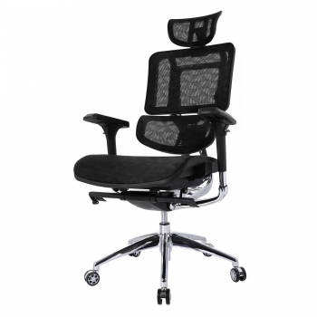 

Ergonomic Mesh Swivel Chair