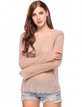 

Apricot See-through Shining Color Pleated Elastic Pullover Top, Multicolor