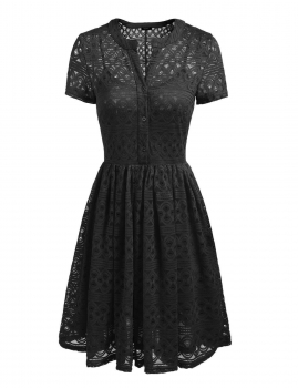 

Black O-Neck Lace A-Line Pleated Hem Elastic Dress, Multicolor