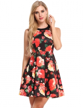 

Black Floral Printed Sleeveless Elastic A-Line Pleated Hem Dress, Multicolor