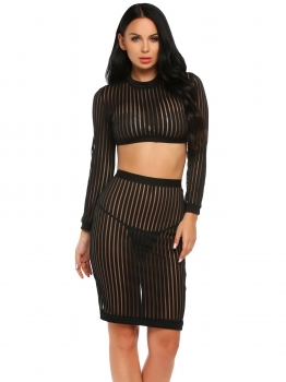 

Black Long Sleeve Sheer Striped Crop Top and Bodycon Skirt Set, Multicolor