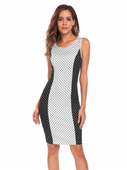

Black Sleeveless Dot Patchwork Pencil Dress, Multicolor