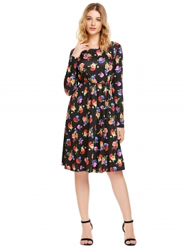 

Black Long Sleeve Floral Print Fit and Flare Dress with Pocket, Multicolor
