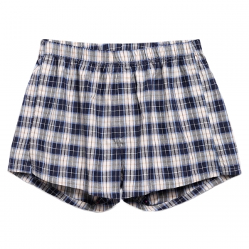 

Blue Men Elastic Waist Plaid Check Woven Boxer with Thong Underwear, Multicolor