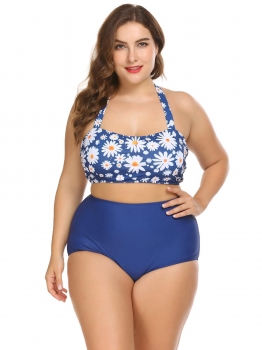 

Blue Women Plus Size Two Pieces Halter Bikini Set Printing Padded Swimwear Bathing Suits, Multicolor