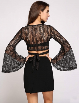 

Black Hollow Lace V-Neck Long Flare Sleeve Crop Top, Multicolor