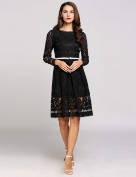 

Black Long Sleeve Round Collar Hollow Out Lace Solid Going Dress, Multicolor