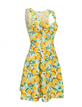 

Sleeveless Square Collar Lemon Print Skater Dress, Multicolor