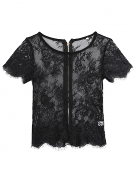 

Black Short Sleeve Hollow Out Lace Back Zipper Tops, Multicolor