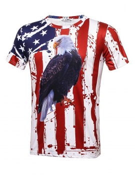 

Eagle Printed Round Neck Short Sleeve T-Shirt, Multicolor