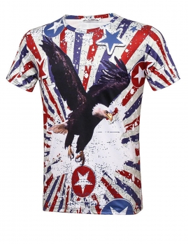 

Flying Eagle Printed Round Neck Short Sleeve T-Shirt, Multicolor
