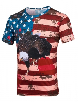 

Eagle Stars Stripes Print Round Neck Short Sleeve T-Shirt, Multicolor