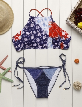 

Halter High Neck Tie Side Floral Print Split Bikini Set Swimwear, Multicolor