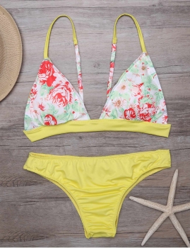 

Spaghetti Strap Floral Top and Solid Brief Bikini Set Swimwear, Multicolor
