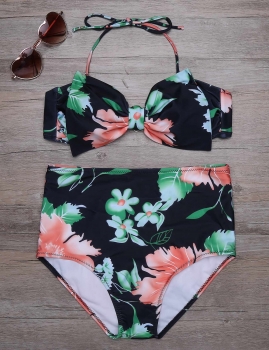 

Halter Printed Bowknot High Waist Bikini Set Swimwear, Multicolor