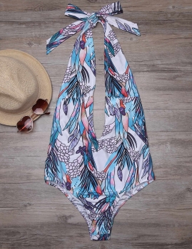 

Plunge Neck Halter Backless Printed One Piece Swimsuit, Multicolor