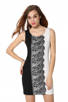 

Finejo Gray New Stylish Women Casual Sleeveless Round Neck Lace Work Dresses, Multicolor