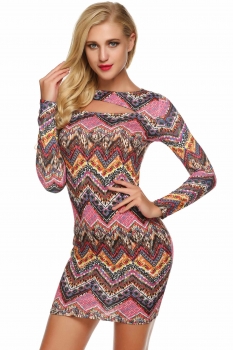 

Red O-Neck Hollow Long Sleeve Print Bodycon Going Out Dress, Multicolor