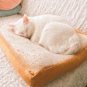 

Cat Dog Toast Bread Cushion Sofa Home Soft Mat Sleeper Pet Waterloo Pad Washable