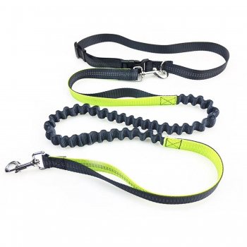 

Green New Elastic Waist Adjustable Running Sport Nylon Dog Strap with Pet Reflective Band Accessories, Multicolor